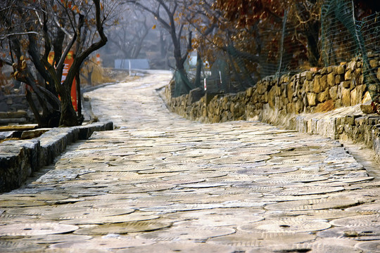 山鄉(xiāng)小路