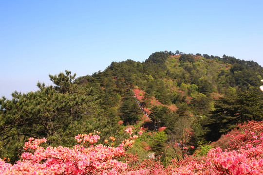 麻城龜山美景