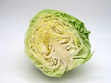 圓白菜