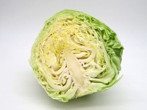 圓白菜