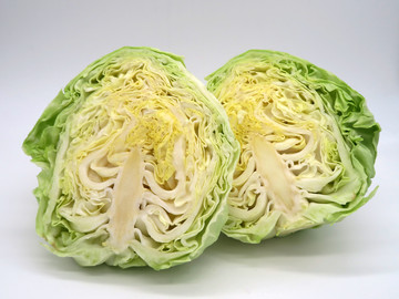 圓白菜
