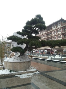 西安 第2次雪景 北郊 大唐西