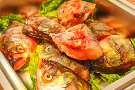 魚頭