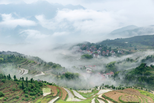 茗岙
