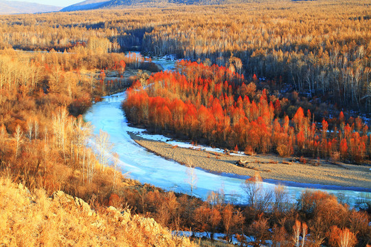 冰封河流 山林紅柳