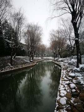 江南的雪