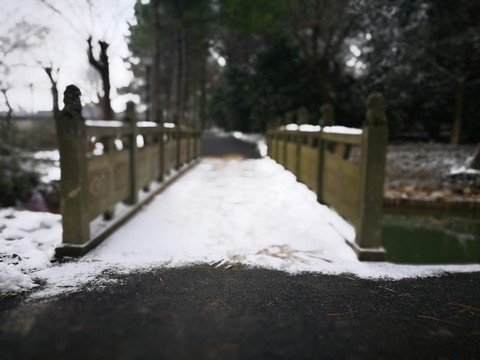 江南的雪