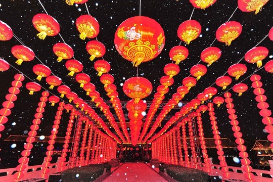 雪打紅燈