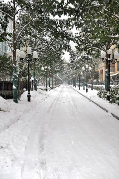 小區(qū)道路 雪景