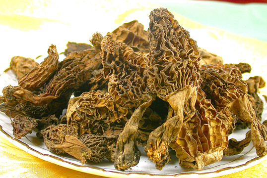 羊肚菌