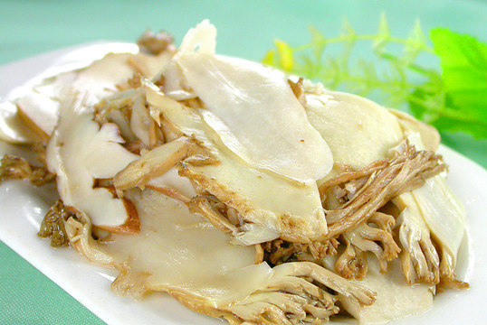 珊瑚菌