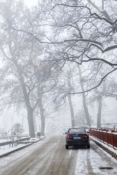 村口雪景