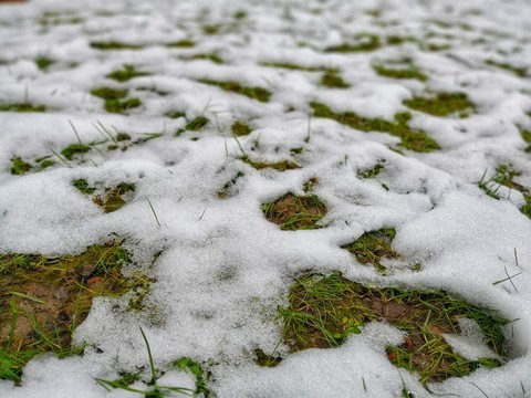 雪景 雪地 白雪 樹木 嶗山