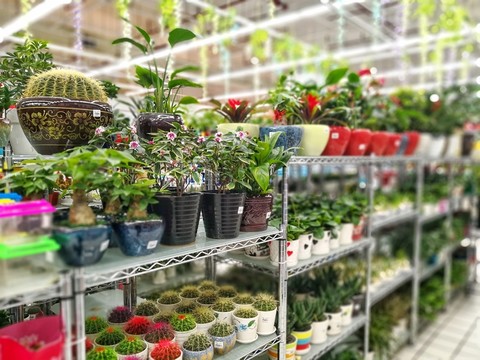 鮮花專賣