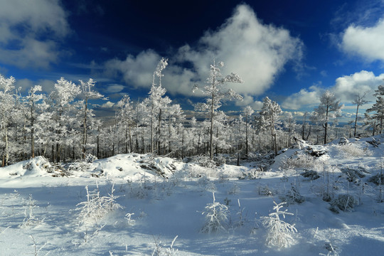 林海雪原