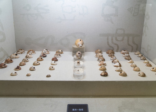 古代貨幣海貝