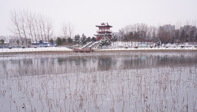 公園雪景