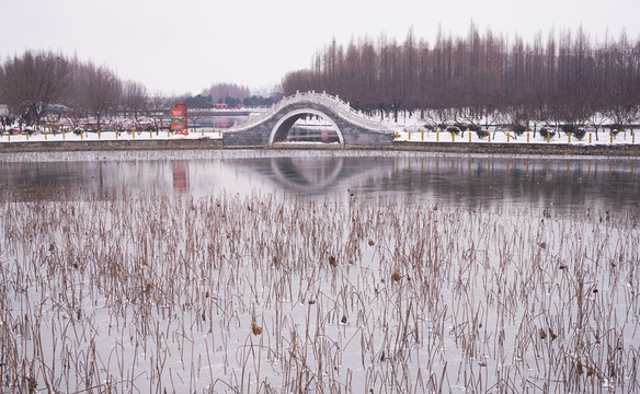 公園小橋雪景