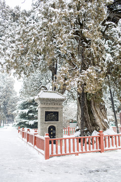 黃帝陵雪景