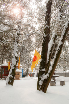 黃帝陵雪景