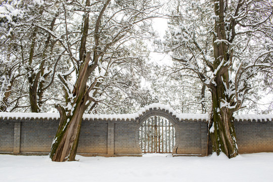 黃帝陵雪景