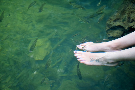 魚療SPA