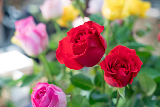 鮮花