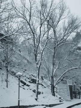 雪景