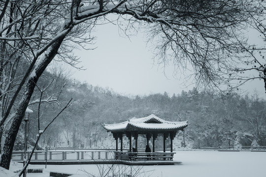 雪中的亭子