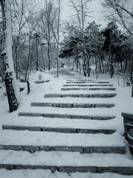 雪中的臺(tái)階
