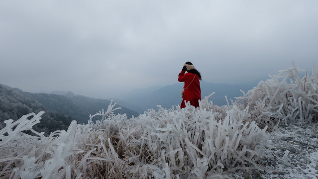 桂林市興安縣貓兒山霧凇景色