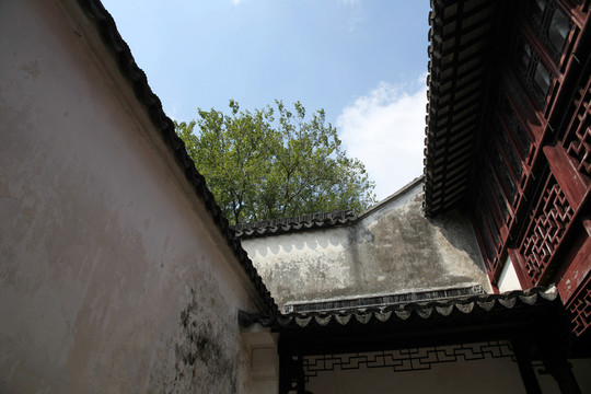天井