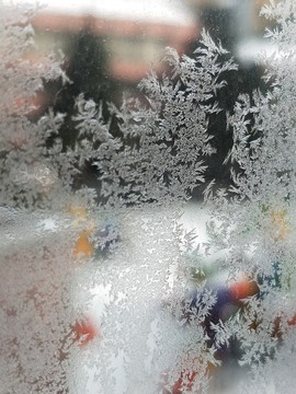 漂亮的冰花 （6）
