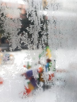 漂亮的冰花 （8）