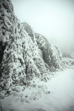 雪景