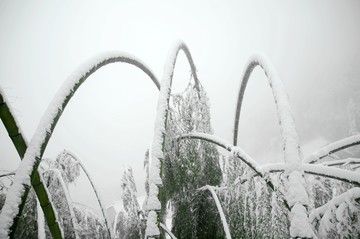 雪景