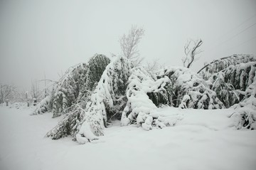 雪景
