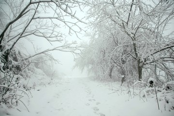 雪景