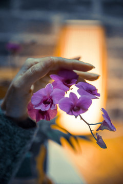 茶與花