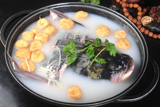 野生魚頭
