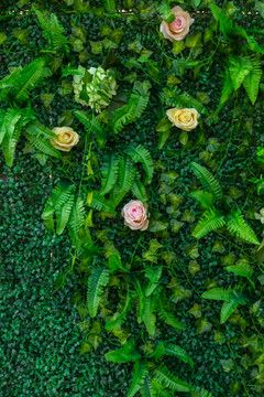 綠色植物背景
