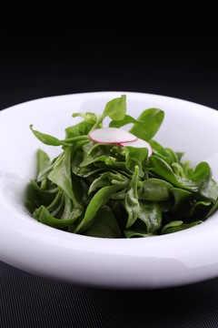 養(yǎng)生穿心蓮