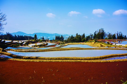 元陽(yáng)梯田