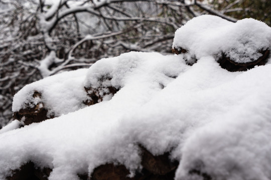 白雪