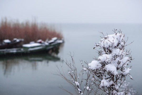 雪景