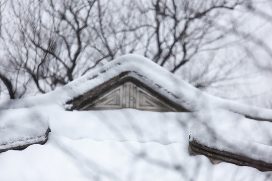 白雪屋面