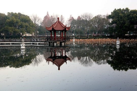 三潭映月荷塘景觀
