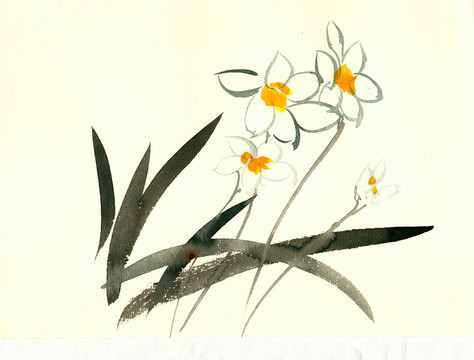 簡約水仙花