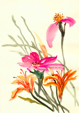 美麗花組合