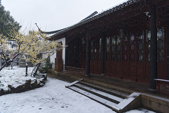 古漪園雪景
